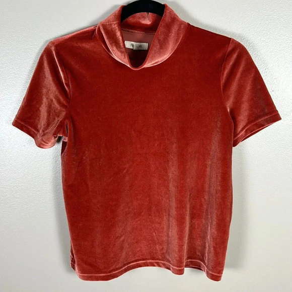 Madewell Velvet Turtleneck Short Sleeve Top - Picture 7 of 7